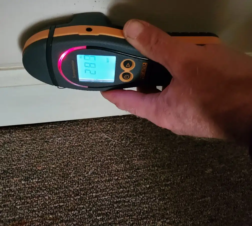 Moisture detection at baseboard during Sewage Cleanup & Sanitation in Lindenhurst